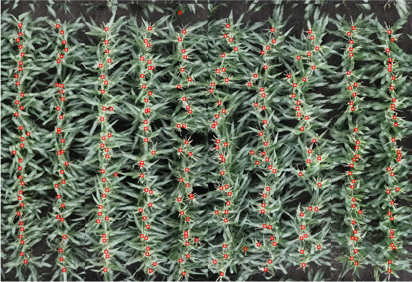 نرم افزار تخمین حجم و زمان محصولات کشاورزی PCFD