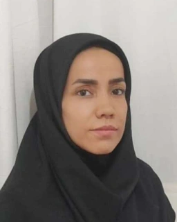 Profile photo of Naimeh Seyyedi